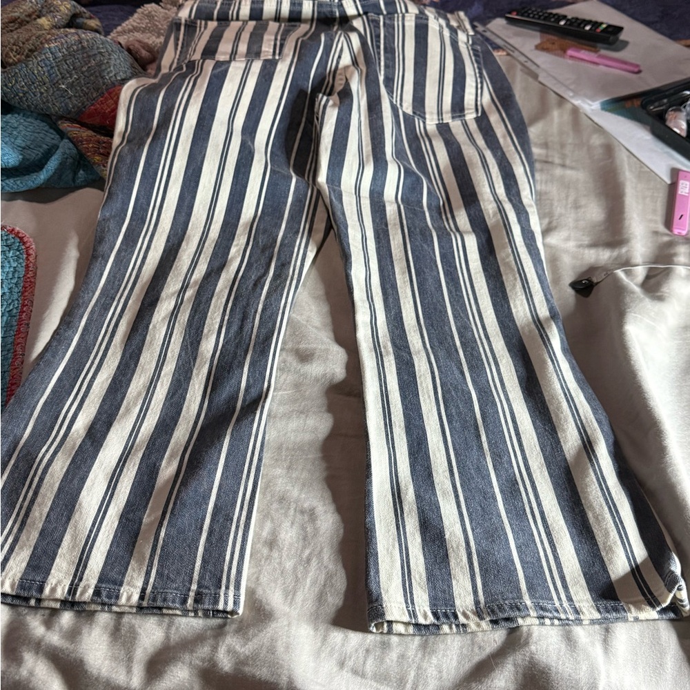 Lucky Brand Blue and White Striped Ankle Jeans - Picture 3 of 7